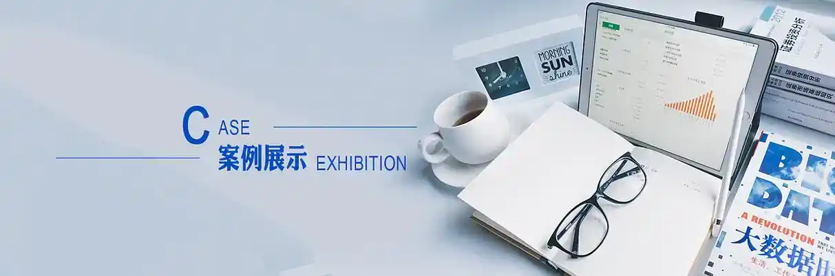 沛县软件开发